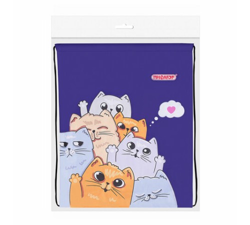 Мешок для обуви ПИФАГОР, 1 отделение, 42х34 см, 