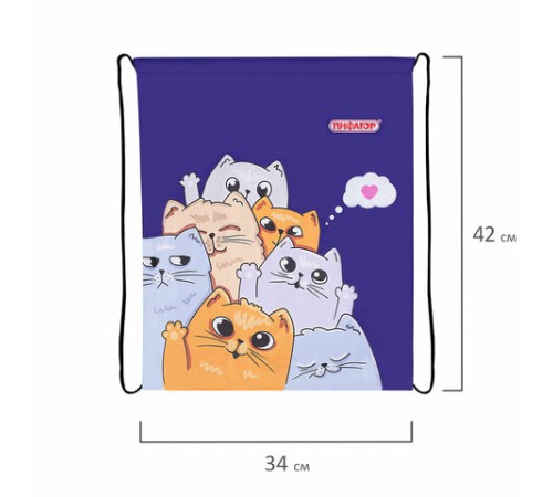 Мешок для обуви ПИФАГОР, 1 отделение, 42х34 см, 