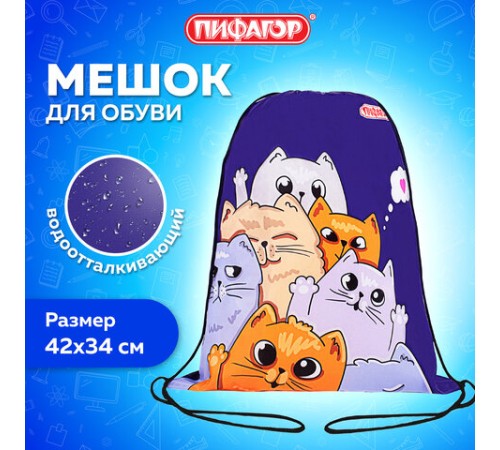 Мешок для обуви ПИФАГОР, 1 отделение, 42х34 см, 