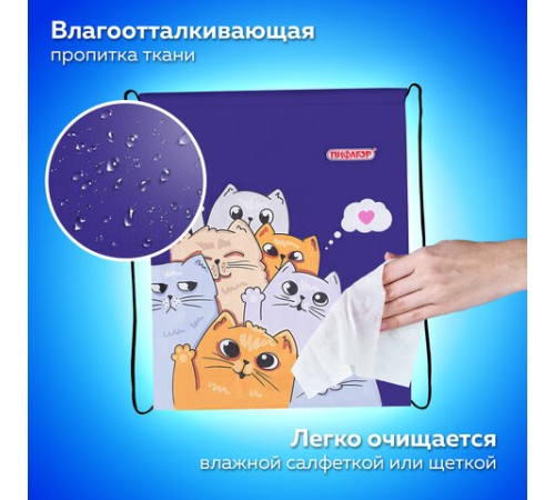 Мешок для обуви ПИФАГОР, 1 отделение, 42х34 см, 