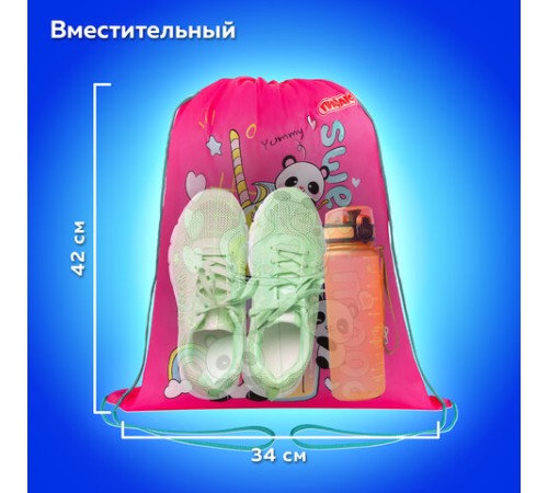 Мешок для обуви ПИФАГОР, 1 отделение, 42х34 см, 