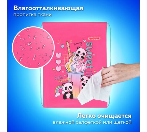 Мешок для обуви ПИФАГОР, 1 отделение, 42х34 см, 