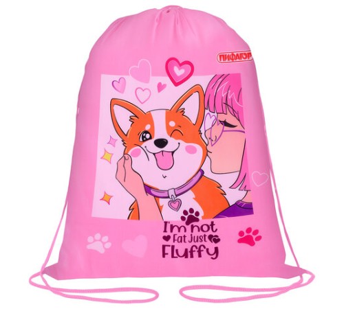 Мешок для обуви ПИФАГОР, 1 отделение, 42х34 см, 