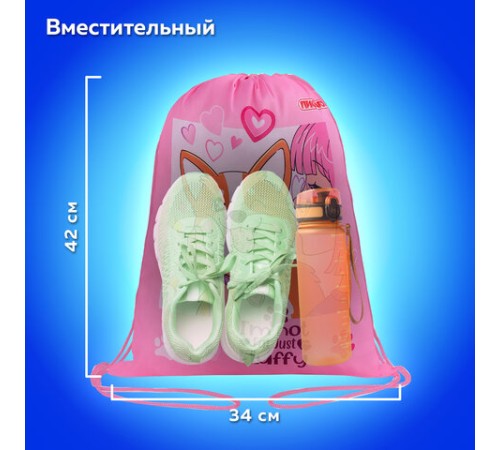 Мешок для обуви ПИФАГОР, 1 отделение, 42х34 см, 