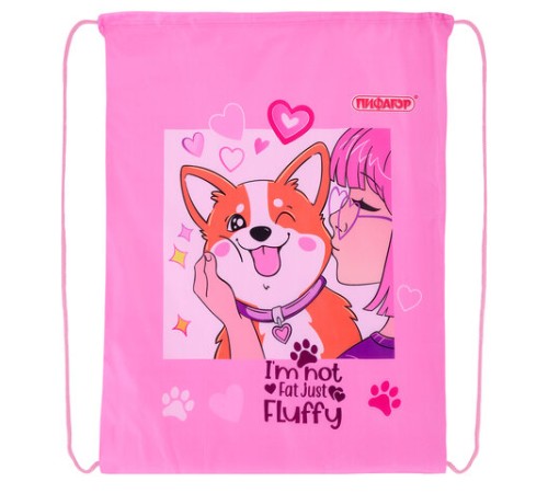 Мешок для обуви ПИФАГОР, 1 отделение, 42х34 см, 