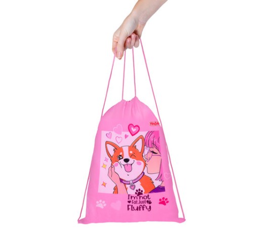 Мешок для обуви ПИФАГОР, 1 отделение, 42х34 см, 