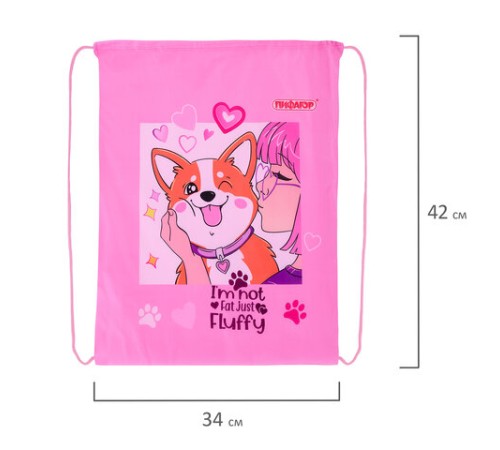 Мешок для обуви ПИФАГОР, 1 отделение, 42х34 см, 