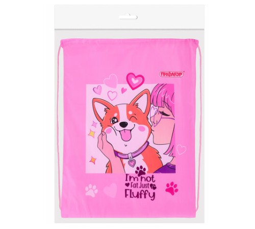 Мешок для обуви ПИФАГОР, 1 отделение, 42х34 см, 