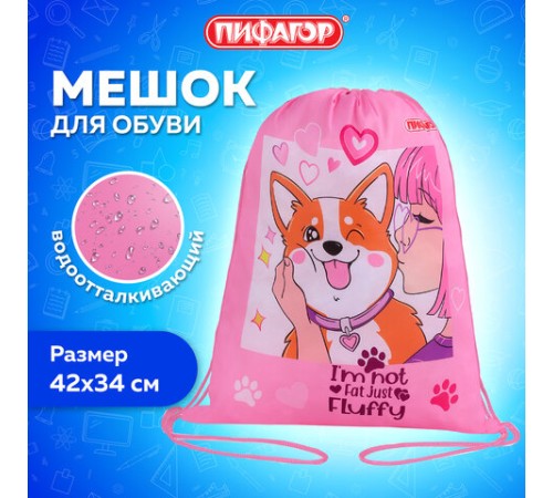 Мешок для обуви ПИФАГОР, 1 отделение, 42х34 см, 