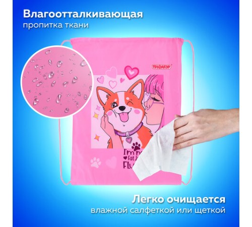 Мешок для обуви ПИФАГОР, 1 отделение, 42х34 см, 