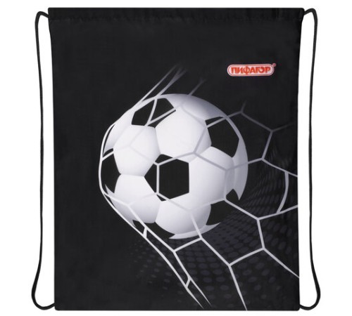 Мешок для обуви ПИФАГОР, 1 отделение, 42х34 см, 