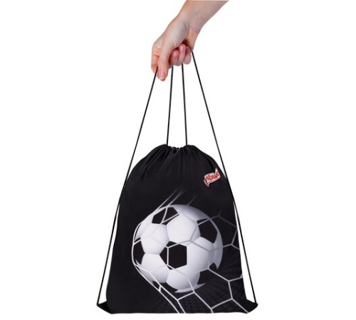 Мешок для обуви ПИФАГОР, 1 отделение, 42х34 см, 