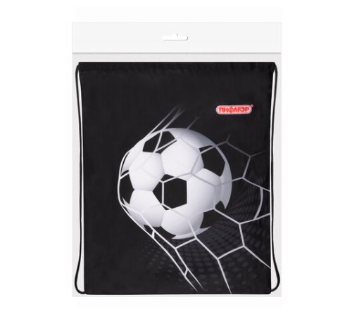 Мешок для обуви ПИФАГОР, 1 отделение, 42х34 см, 