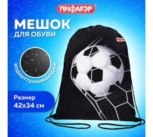 Мешок для обуви ПИФАГОР, 1 отделение, 42х34 см, 