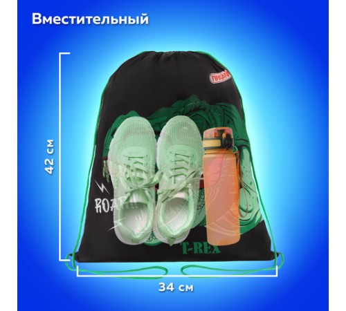 Мешок для обуви ПИФАГОР, 1 отделение, 42х34 см, 