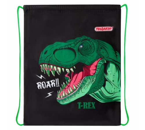 Мешок для обуви ПИФАГОР, 1 отделение, 42х34 см, 