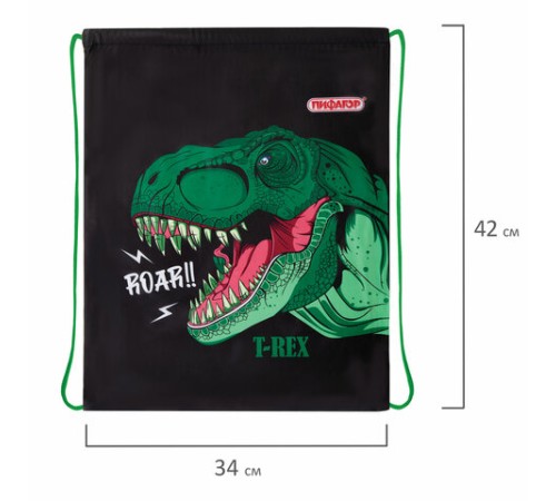 Мешок для обуви ПИФАГОР, 1 отделение, 42х34 см, 