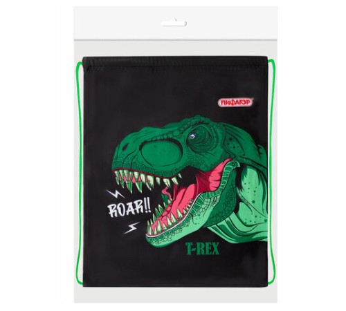 Мешок для обуви ПИФАГОР, 1 отделение, 42х34 см, 