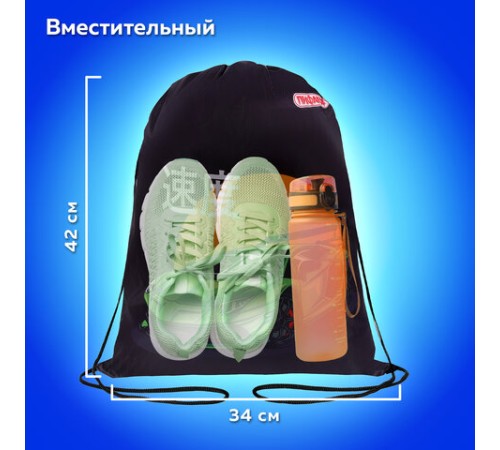 Мешок для обуви ПИФАГОР, 1 отделение, 42х34 см, 