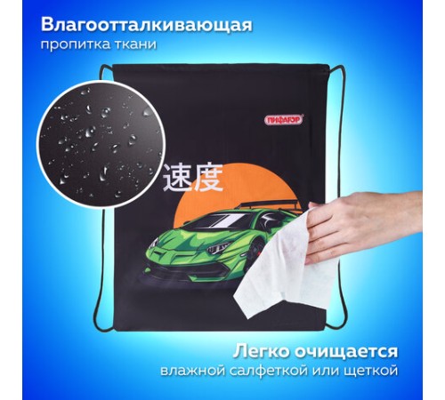 Мешок для обуви ПИФАГОР, 1 отделение, 42х34 см, 