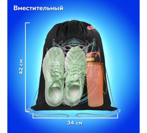 Мешок для обуви ПИФАГОР, 1 отделение, 42х34 см, 