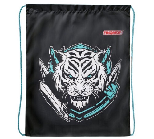 Мешок для обуви ПИФАГОР, 1 отделение, 42х34 см, 