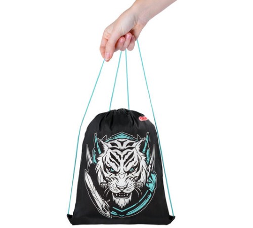 Мешок для обуви ПИФАГОР, 1 отделение, 42х34 см, 