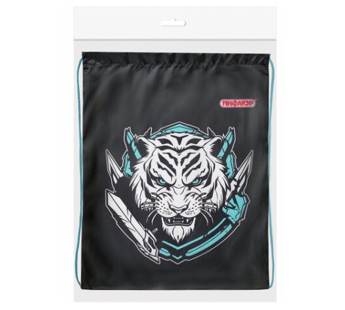 Мешок для обуви ПИФАГОР, 1 отделение, 42х34 см, 