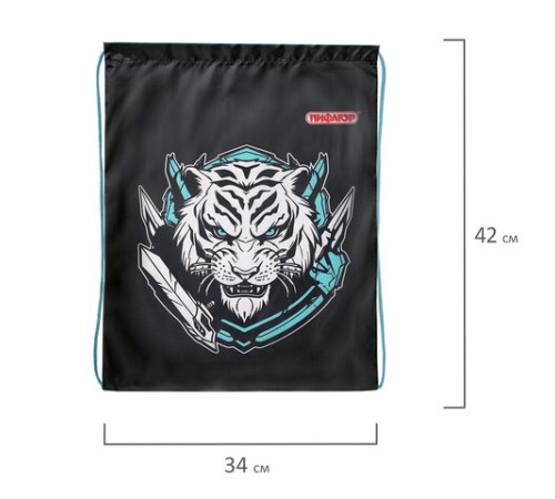 Мешок для обуви ПИФАГОР, 1 отделение, 42х34 см, 