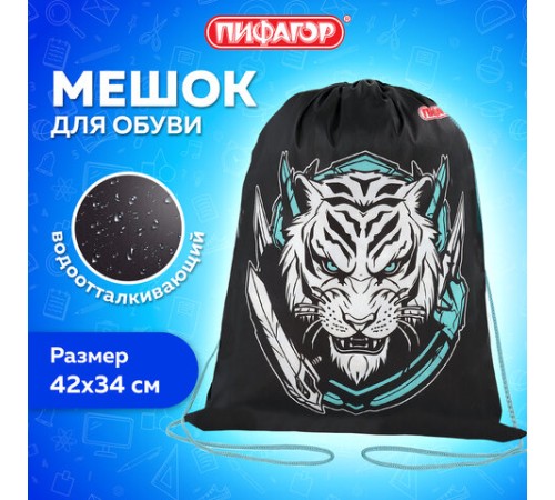 Мешок для обуви ПИФАГОР, 1 отделение, 42х34 см, 