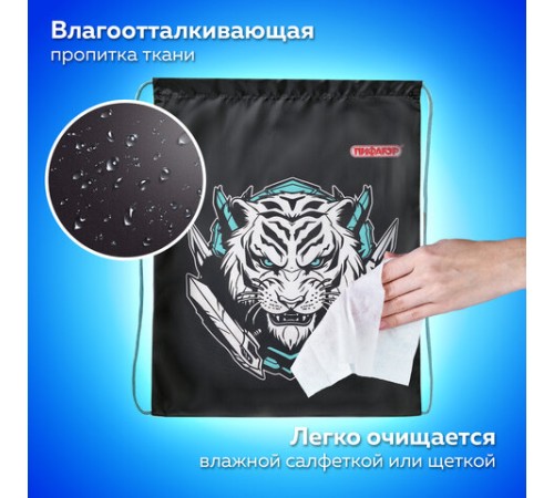 Мешок для обуви ПИФАГОР, 1 отделение, 42х34 см, 