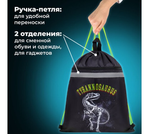 Мешок для обуви BRAUBERG, с петлей, светоотражающая полоса, 2 отделения, 46х36 см, Tyrannosaur, 272399