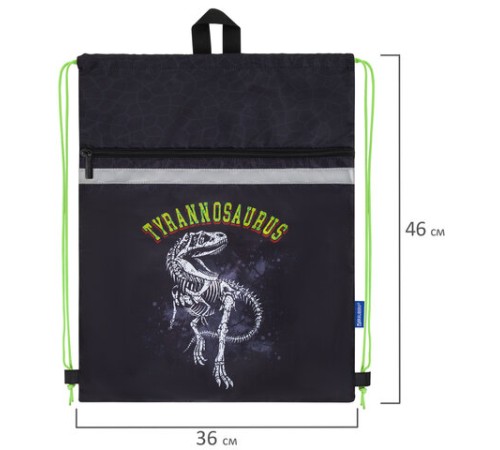 Мешок для обуви BRAUBERG, с петлей, светоотражающая полоса, 2 отделения, 46х36 см, Tyrannosaur, 272399