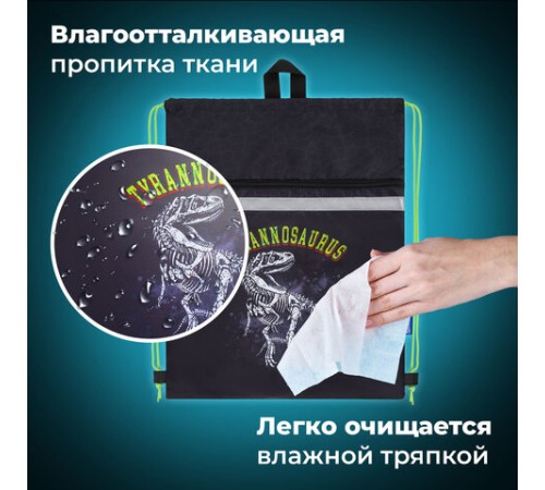 Мешок для обуви BRAUBERG, с петлей, светоотражающая полоса, 2 отделения, 46х36 см, Tyrannosaur, 272399