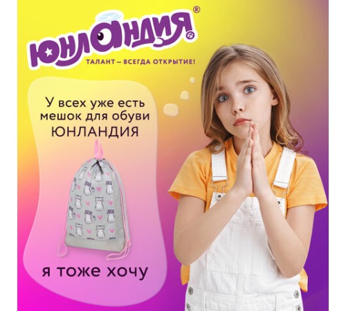 Мешок для обуви ЮНЛАНДИЯ с ручками, боковой карман на молнии, 46х36 см, 