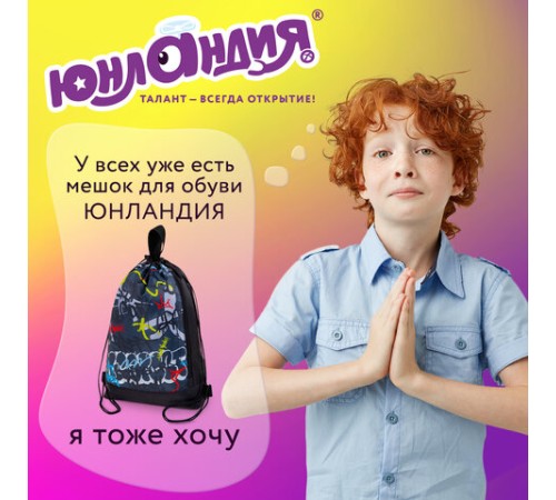Мешок для обуви ЮНЛАНДИЯ с ручками, боковой карман на молнии, 46х36 см, 