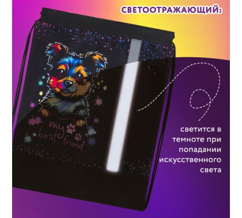 Мешок для обуви ЮНЛАНДИЯ, плотный, светоотражающая полоса, 46х36 см, 