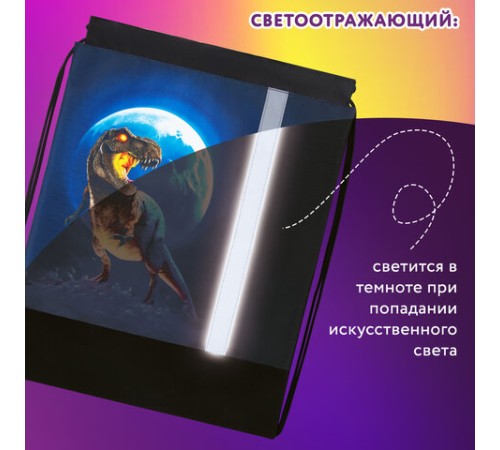 Мешок для обуви ЮНЛАНДИЯ, плотный, светоотражающая полоса, 46х36 см, 