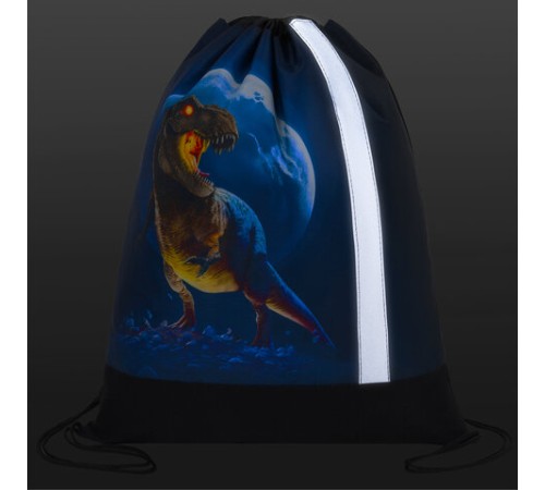 Мешок для обуви ЮНЛАНДИЯ, плотный, светоотражающая полоса, 46х36 см, 