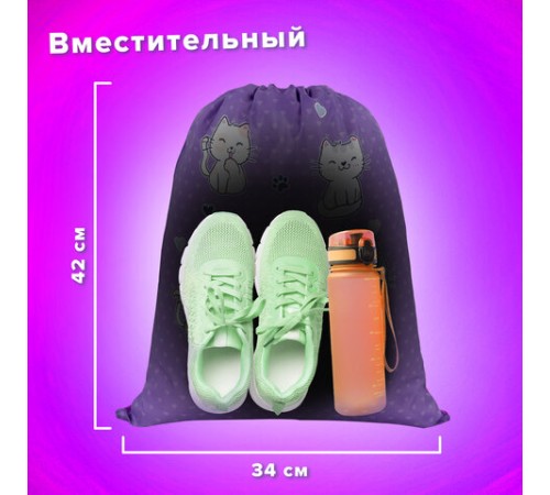 Мешок для обуви BRAUBERG KIDS, с петлей, 42х34 см, 
