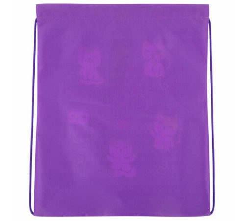 Мешок для обуви BRAUBERG KIDS, с петлей, 42х34 см, 