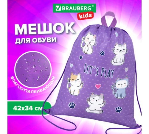 Мешок для обуви BRAUBERG KIDS, с петлей, 42х34 см, 