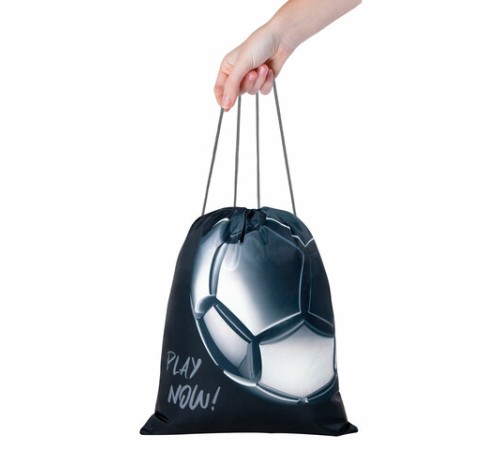 Мешок для обуви BRAUBERG KIDS, с петлей, 42х34 см, 