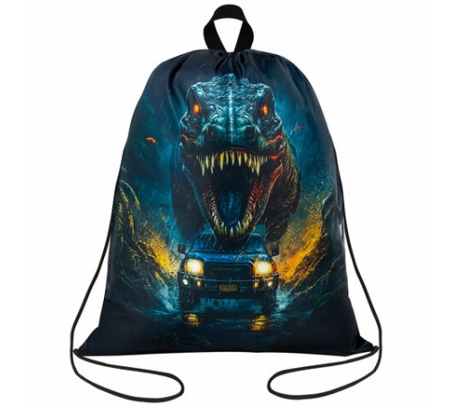 Мешок для обуви BRAUBERG KIDS, с петлей, 42х34 см, 