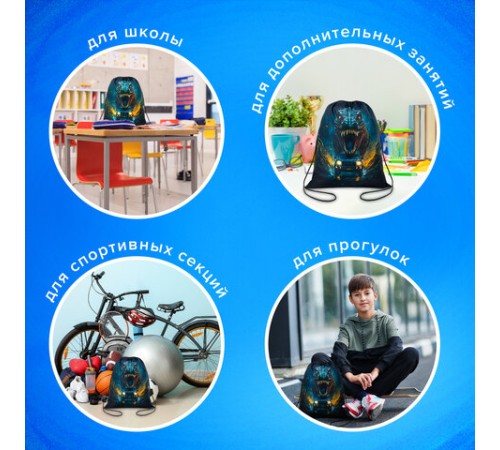 Мешок для обуви BRAUBERG KIDS, с петлей, 42х34 см, 