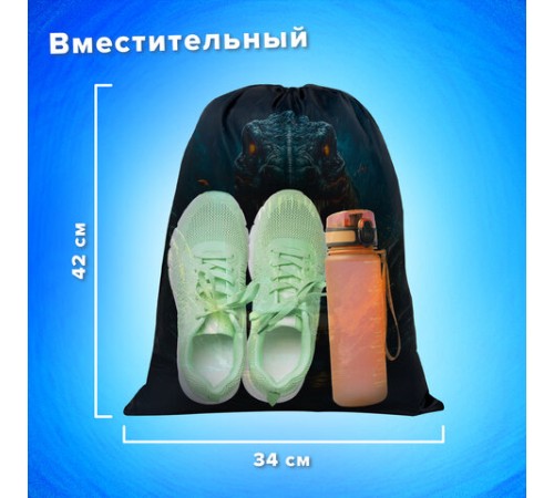 Мешок для обуви BRAUBERG KIDS, с петлей, 42х34 см, 