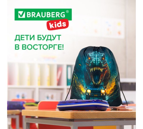Мешок для обуви BRAUBERG KIDS, с петлей, 42х34 см, 