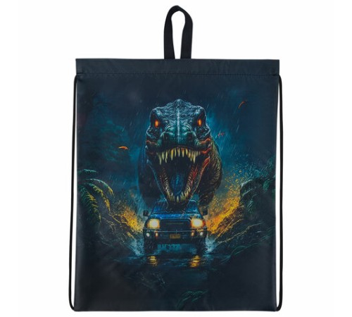 Мешок для обуви BRAUBERG KIDS, с петлей, 42х34 см, 