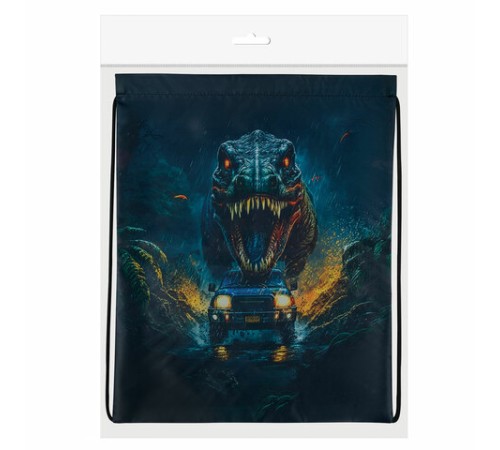 Мешок для обуви BRAUBERG KIDS, с петлей, 42х34 см, 