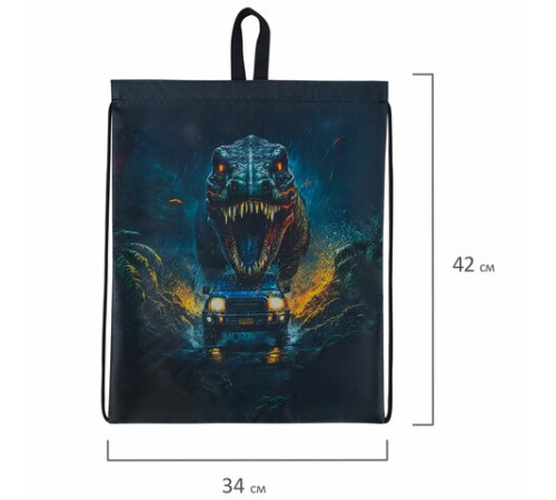 Мешок для обуви BRAUBERG KIDS, с петлей, 42х34 см, 